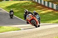 Middle Group Orange Bikes